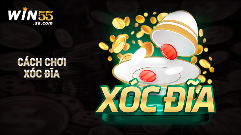 Cách chơi Xóc Đĩa hiệu quả, đơn giản nhất năm 2025 1 Cách chơi xóc đĩa