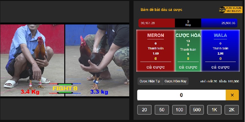 Đá gà 2 Đá gà cựa sắt/ cựa dao là hình thức cá cược chiến kê hấp dẫn