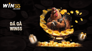 Đá gà WIN55