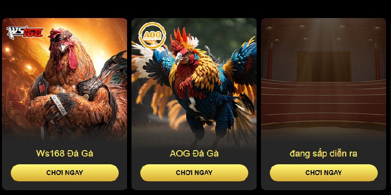 Đá gà 1 Đá gà WIN55 hội tụ nhiều ưu điểm nổi bật